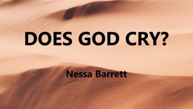 متن و ترجمه آهنگ DOES GOD CRY از Nessa Barrett