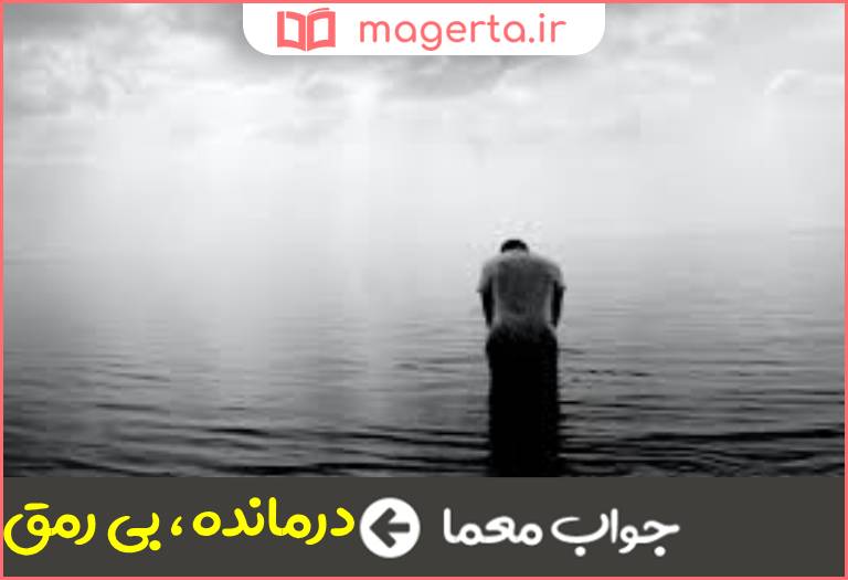 جواب معما نزار در جدول