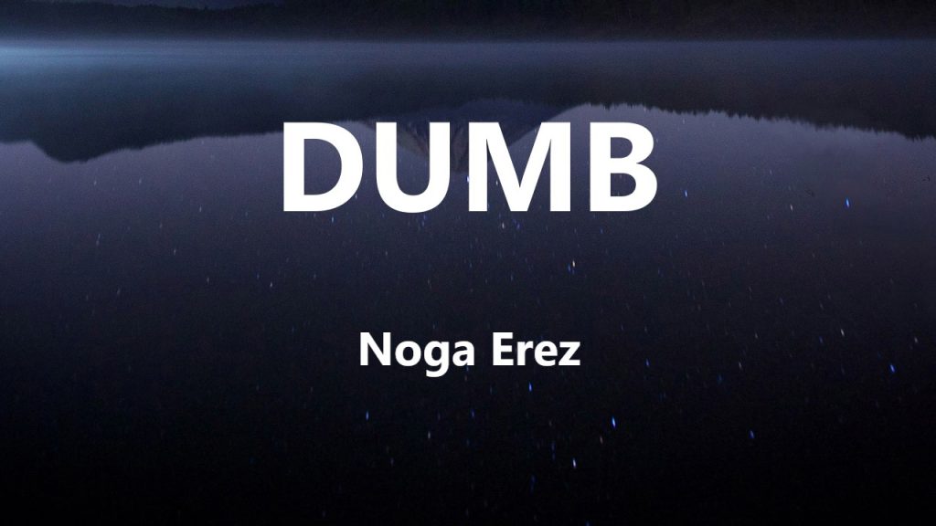 متن و ترجمه آهنگ DUMB از Noga Erez