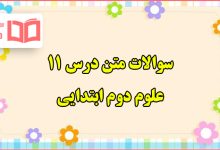 سوالات متن درس ۱۱ علوم دوم ابتدایی با جواب