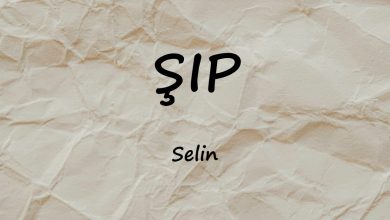 متن و ترجمه آهنگ ŞIP از Selin