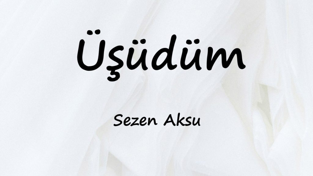 متن و ترجمه آهنگ Üşüdüm از Sezen Aksu