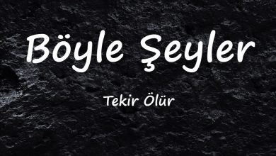 متن و ترجمه آهنگ Ölür Böyle Şeyler از Tekir