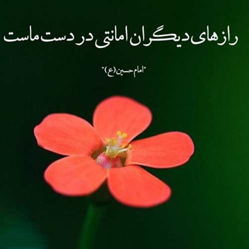 عکس نوشته جملات بزرگان در مورد رازداری