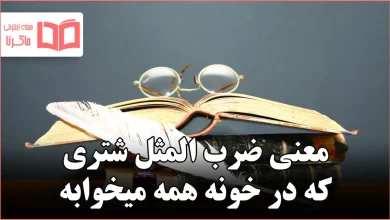 معنی ضرب المثل شتری که در خونه همه میخوابه
