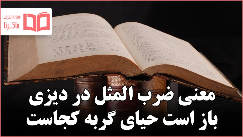 معنی ضرب المثل در دیزی باز است حیای گربه کجاست