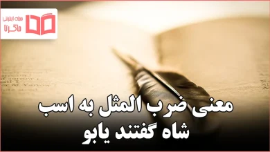 معنی ضرب المثل به اسب شاه گفتند یابو