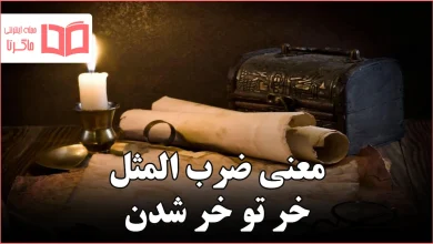 معنی ضرب المثل خر تو خر شدن