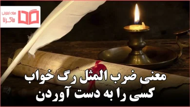 معنی ضرب المثل رگ خواب کسی را به دست آوردن