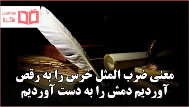 معنی ضرب المثل خرس را به رقص آوردیم دمش را به دست آوردیم