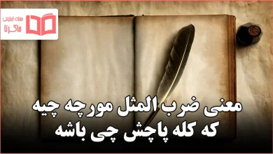 معنی ضرب المثل مورچه چیه که کله پاچش چی باشه