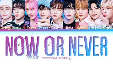 متن و ترجمه آهنگ Now Or Never از ZEROBASEONE