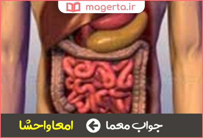 جواب معما محتویات داخل شکم در جدول