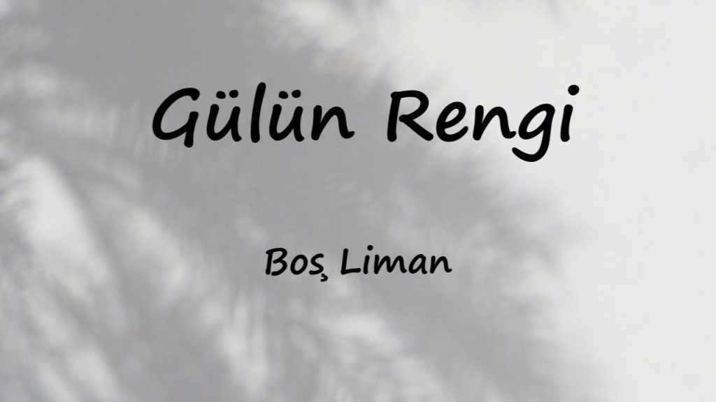 متن و ترجمه آهنگ Gülün Rengi از Boş Liman