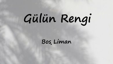 متن و ترجمه آهنگ Gülün Rengi از Boş Liman