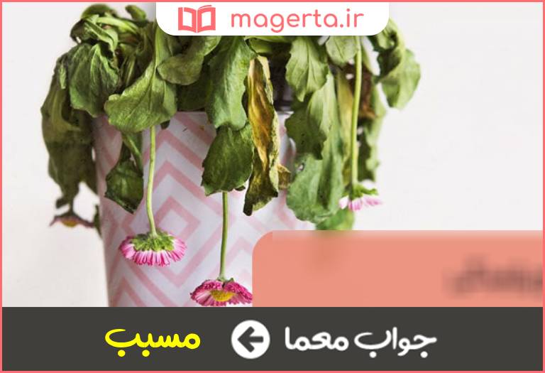 جواب معما علت و سبب شونده در جدول