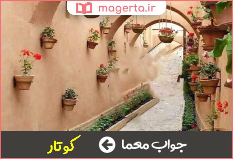 جواب معما کوچه سرپوشیده در جدول