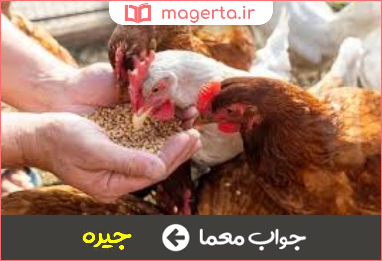 جواب معما مستمری روزانه در جدول