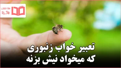 تعبیر خواب زنبوری که میخواد نیش بزنه
