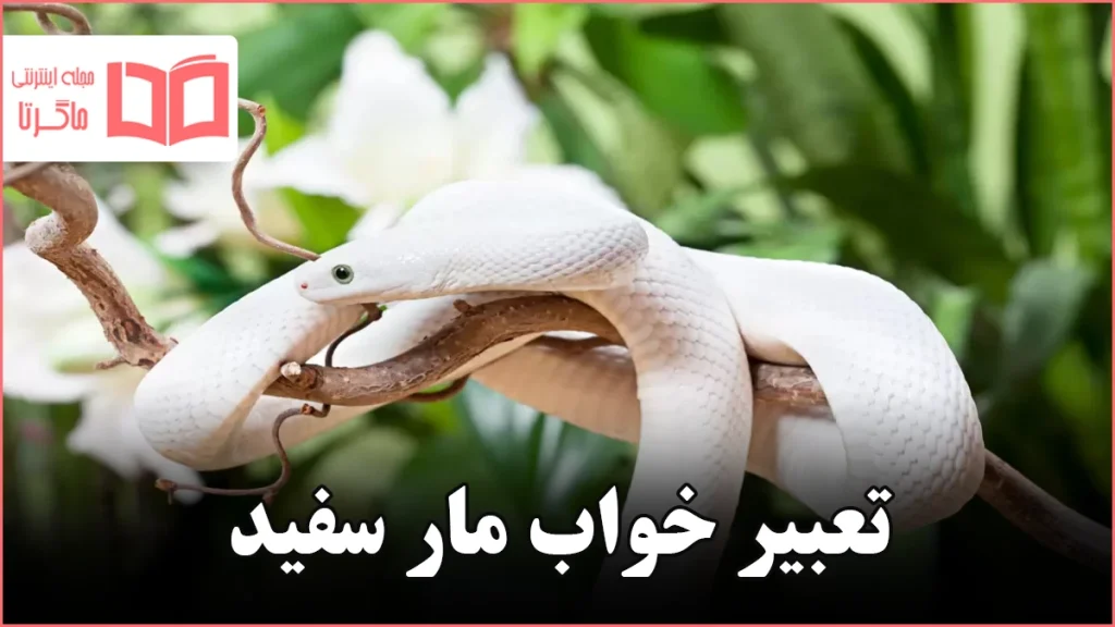 تعبیر خواب مار سفید