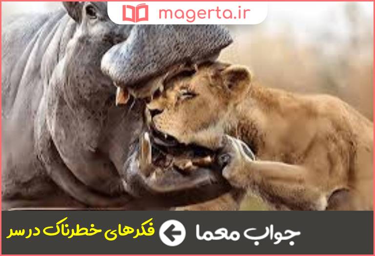 جواب معما کله اش باد داره در جدول