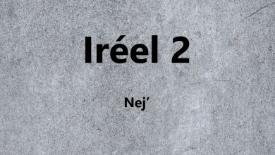 متن و ترجمه آهنگ Irréel 2 از Nej