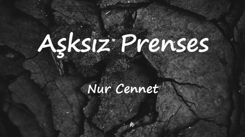 متن و ترجمه آهنگ Aşksız Prenses از Nur Cennet