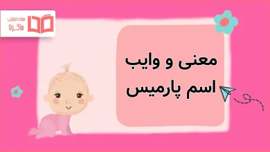 معنی و وایب اسم پارمیس