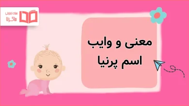 معنی و وایب اسم پرنیا