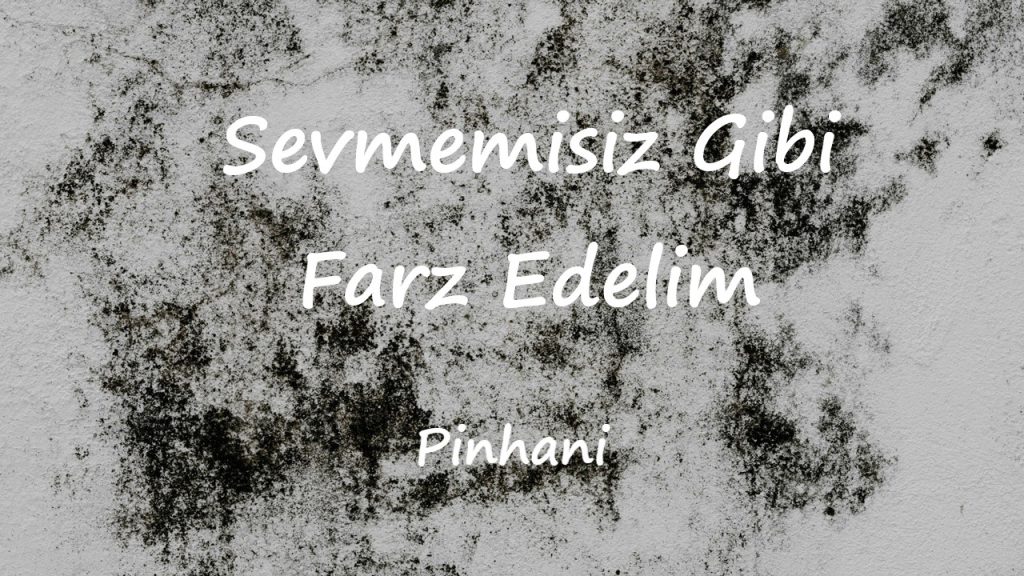 متن و ترجمه آهنگ Sevmemis‌iz Gibi Farz Edelim از Pinhani