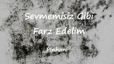 متن و ترجمه آهنگ Sevmemisiz Gibi Farz Edelim از Pinhani