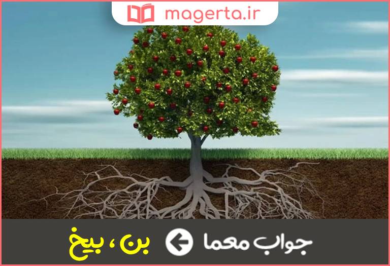 جواب معما ریشه و اساس در جدول