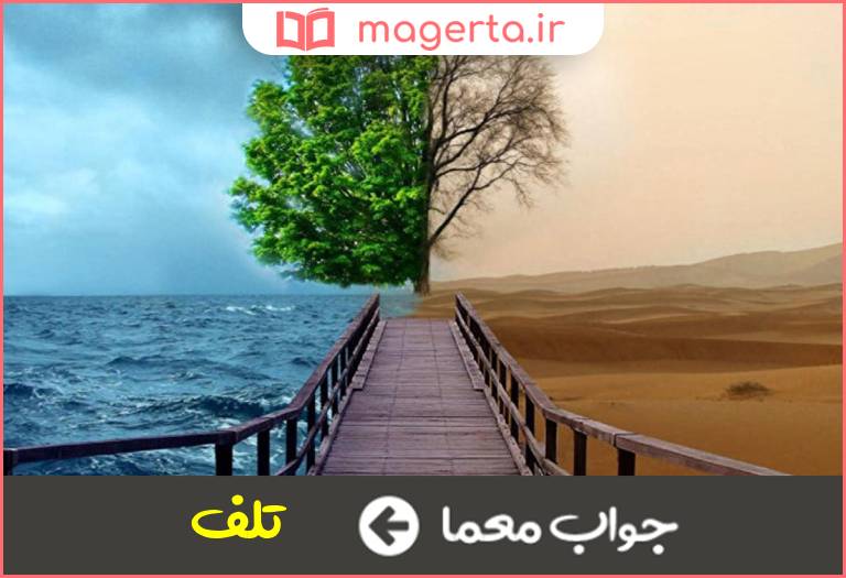 جواب معما تباه و نابود در جدول