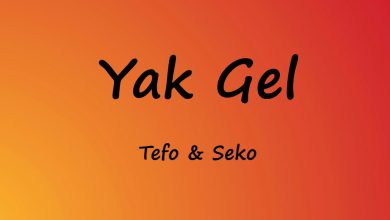 متن و ترجمه آهنگ Yak Gel از Tefo و Seko