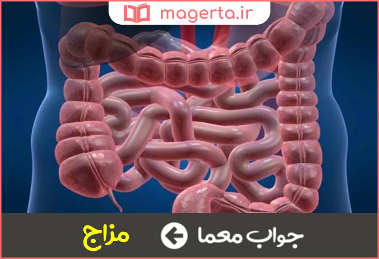 جواب معما وضع دستگاه گوارش در جدول