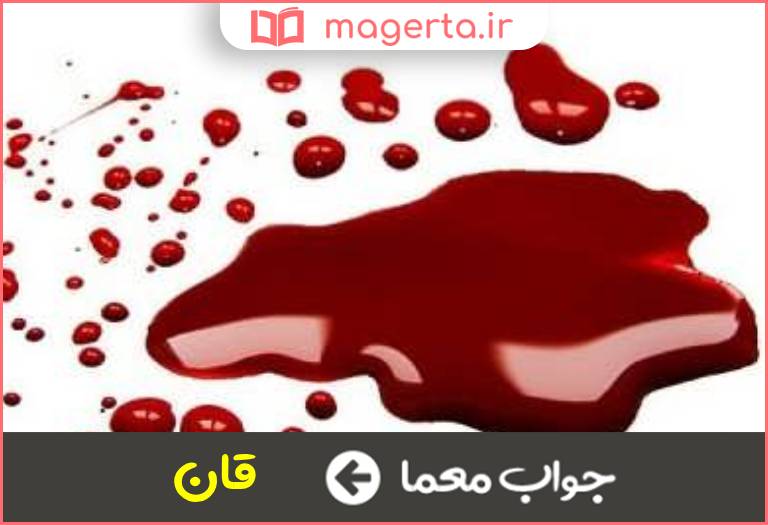 جواب معما خون ترکی در جدول