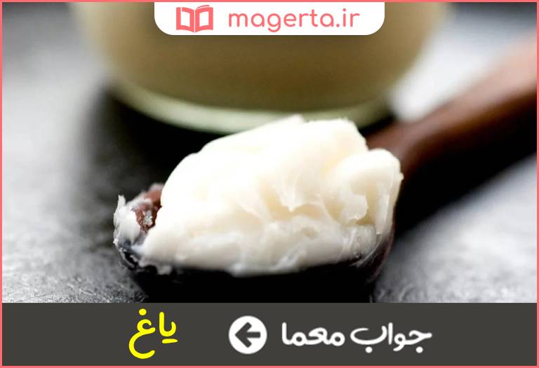 جواب معما روغن ترکی در جدول