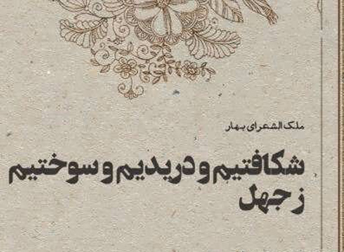عکس استوری سنگین و لاتی درباره جهل و آدم جاهل