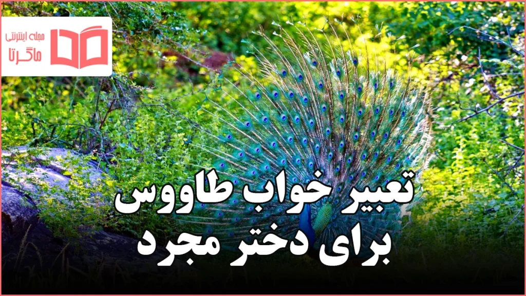 تعبیر خواب طاووس برای دختر مجرد
