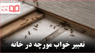 تعبیر خواب مورچه در خانه