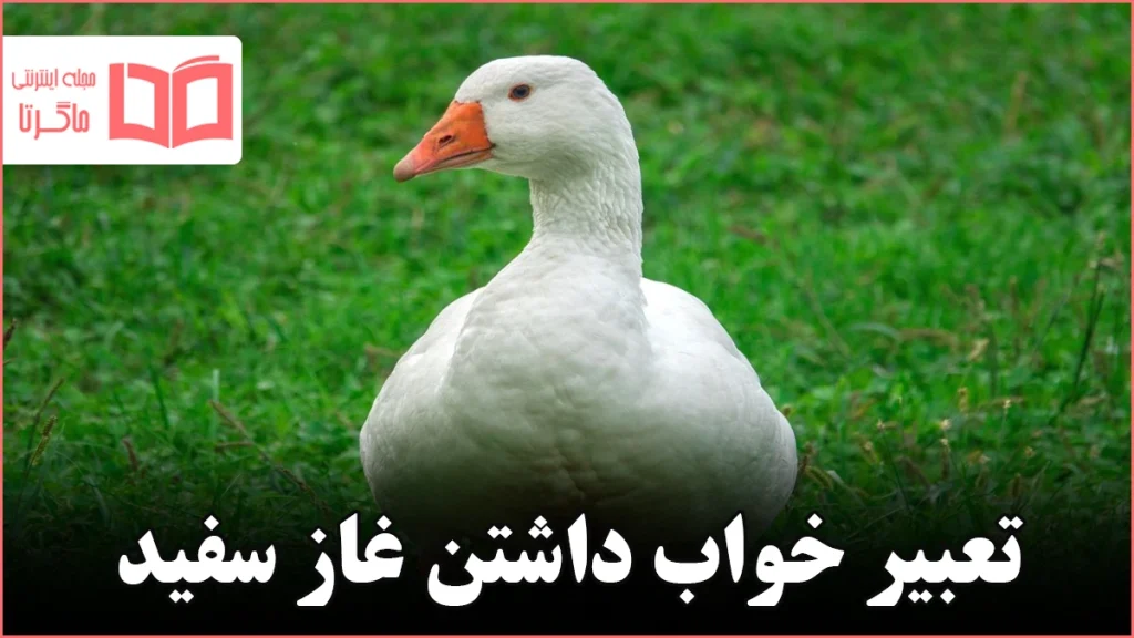 تعبیر خواب داشتن غاز سفید