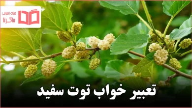تعبیر خواب توت سفید
