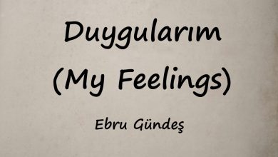 متن و ترجمه آهنگ Duygularım (My Feelings) از Ebru Gündeş