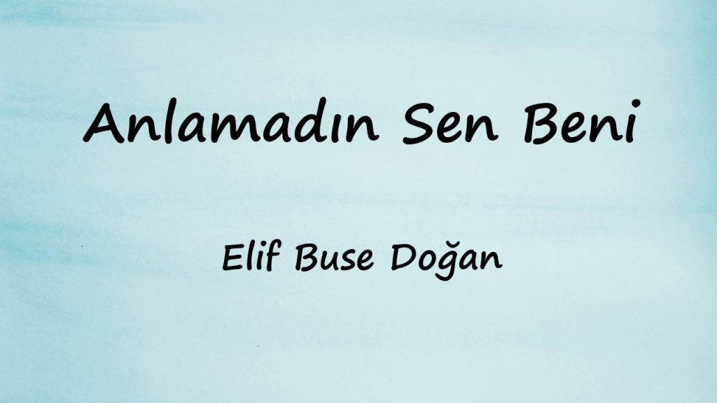 متن و ترجمه آهنگ Anlamadın Sen Beni از Elif Buse Doğan