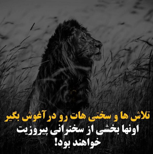 عکس استوری زیبای برای موفقیت