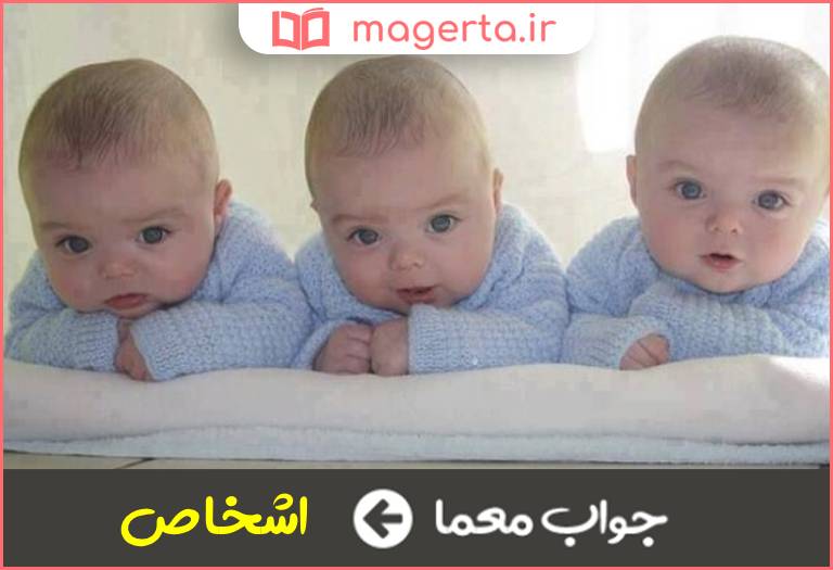 جواب معما کسان و افراد در جدول