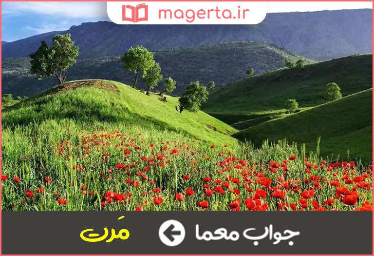 جواب معما دشت بی گیاه در جدول