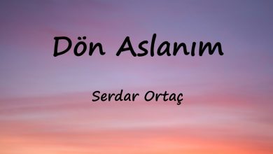 متن و ترجمه آهنگ Dön Aslanım از Serdar Ortaç