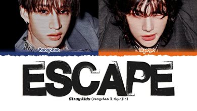 متن و ترجمه آهنگ ESCAPE از Stray Kids