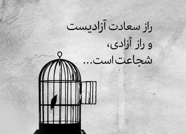 عکس پروفایل خاص و زیبا درباره رهایی از محدودیت‌ها